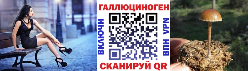Псилоцибиновые грибы GOLDEN TEACHER Сургут