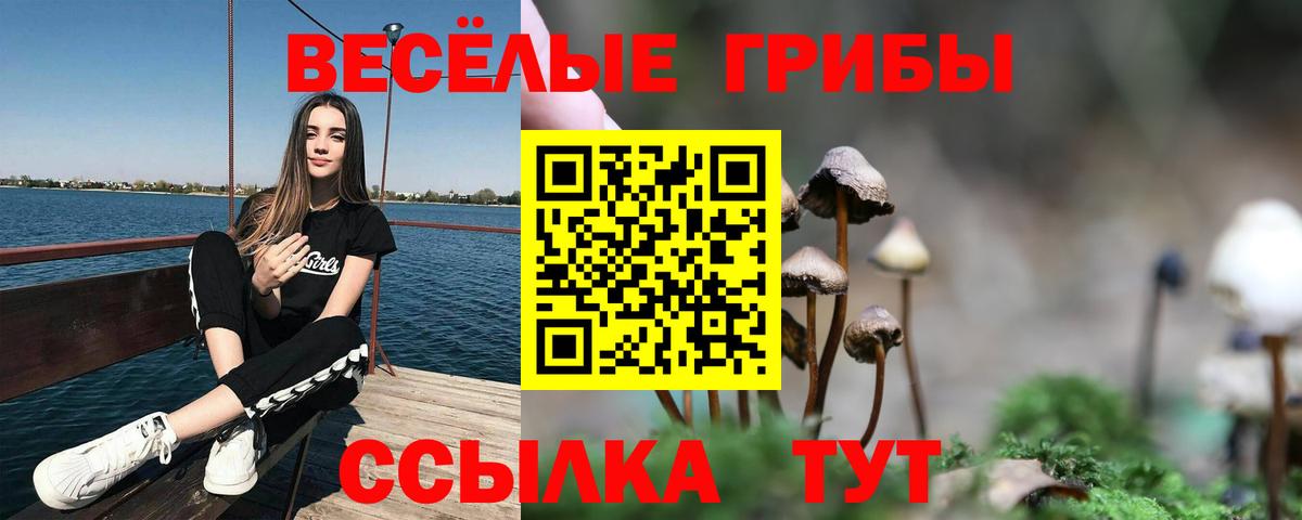 Псилоцибиновые грибы прущие грибы Сургут