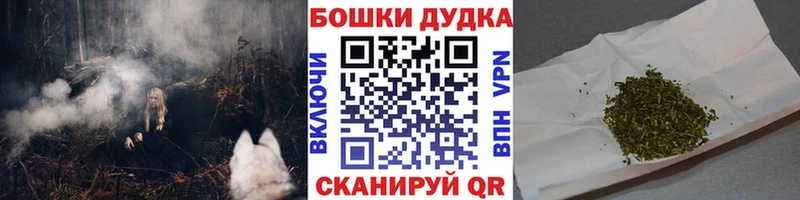 Марихуана OG Kush  как найти закладки  Сургут 